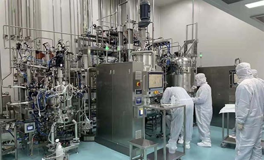 SAT de biorreactor fermentador de agitación magnética automática en Corea