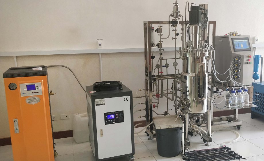 Fermentador de biorreactor automático 10000L Innova en esterilización SIP